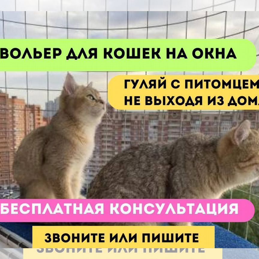 Балкон для кошек