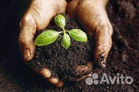 Купить грунт навоз в мешках