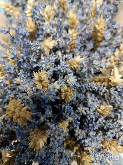 Иван чай доставка бесплатно