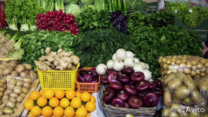 Торговый павильон арендный бизнес