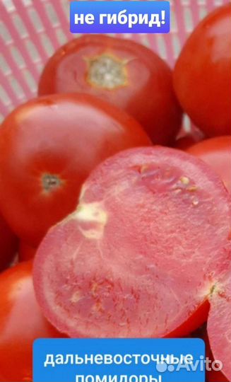 Семена лучших сортов помидор из СССР