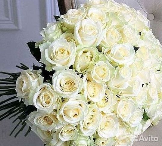 Розы Высокие 150см 160см 170см 180см 190см 2м