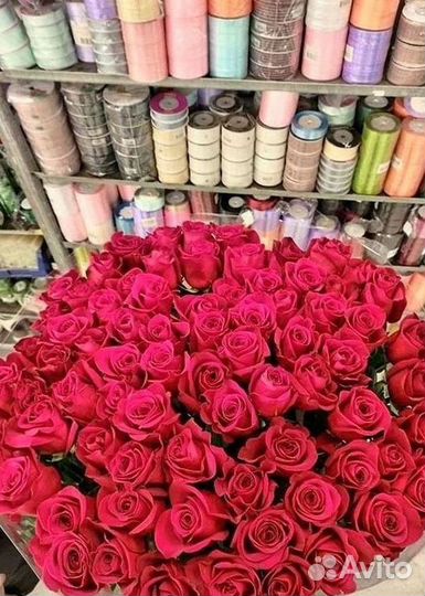 51 Роза, Букеты Цветы Розы 25 101 501 1001