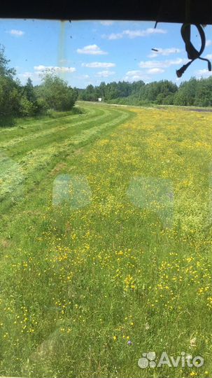 Сено,сенах.Разотравие,посевное