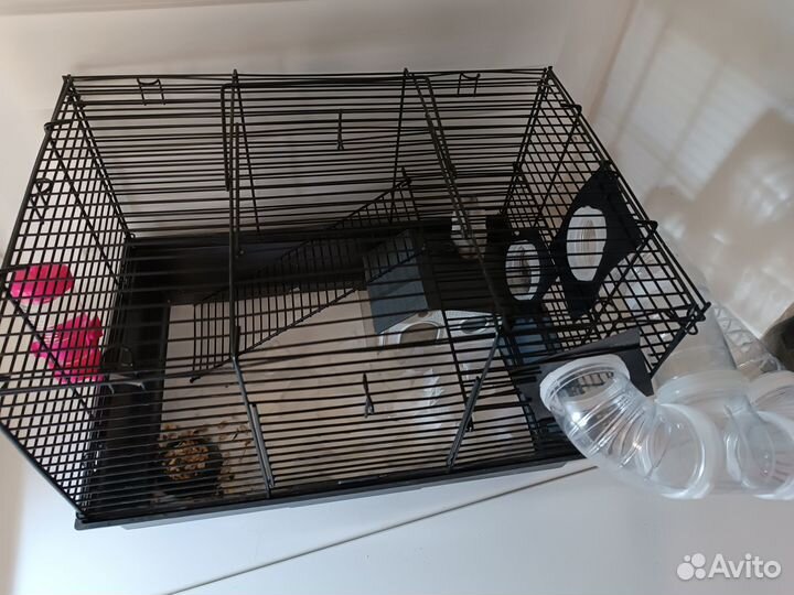 Хомяк с клеткой