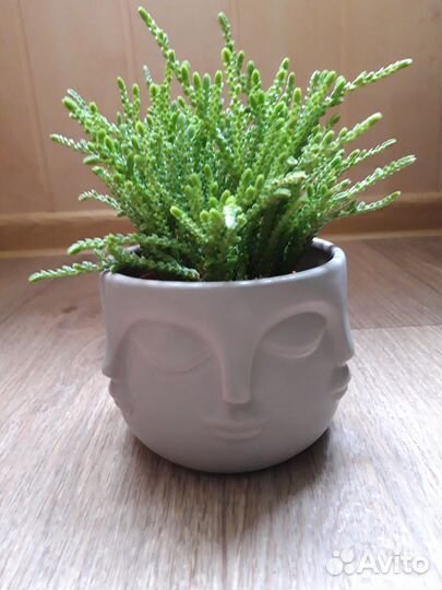 Кашпо новые (керамика, полистоун )