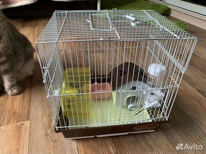 Клетка для джунгарского хомяка