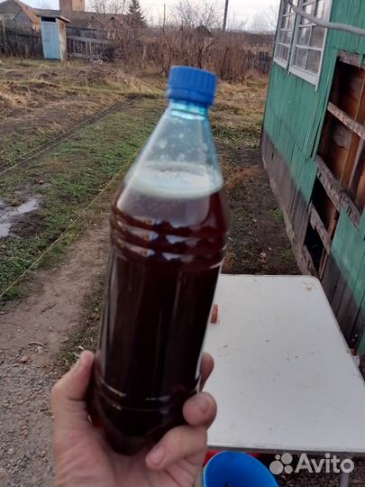 Сок лопуха