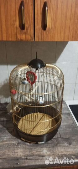 Клетка для попугая большая