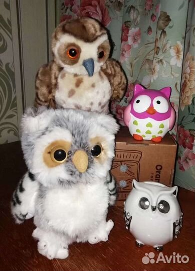 Совы, совушки, совята. Личная коллекция