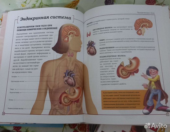 Занимательные детские книги