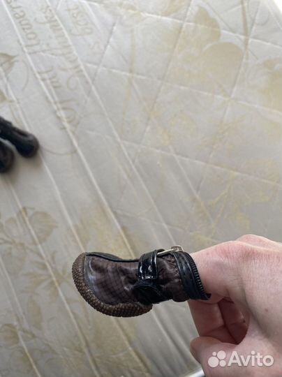 Обувь на собаку