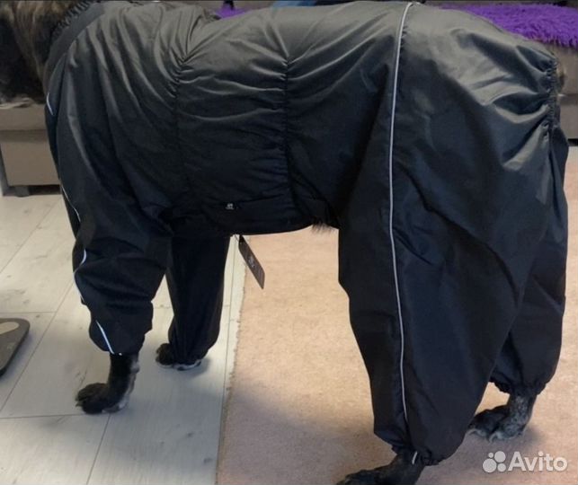 Дождевик одежда для собаки