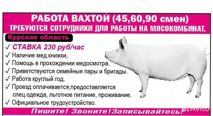 Грузчик разнорабочий вахта