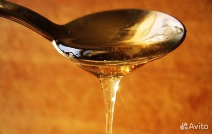 Мед Алтайский оптом