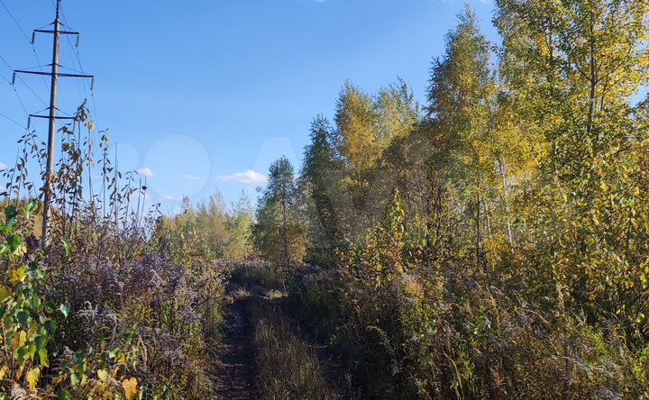 Участок 23,5 сот. (ИЖС)