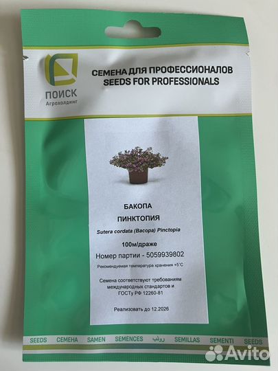 Рассада бакопы