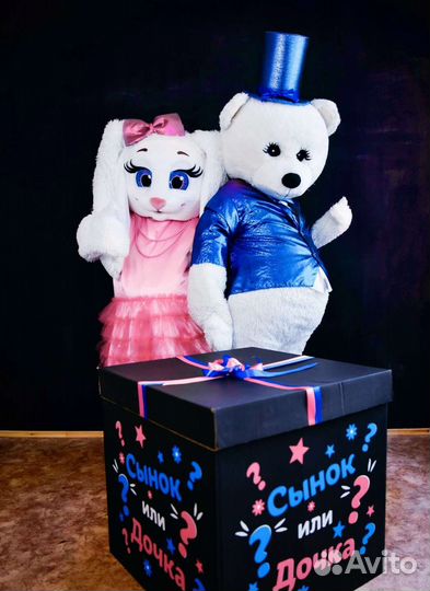 Аниматор. Ростовая кукла на праздник. Мишка, Зайка