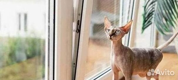 Пластиковые окна на балкон