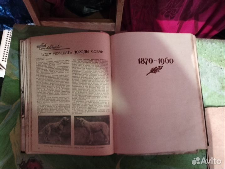 Книжка СССР