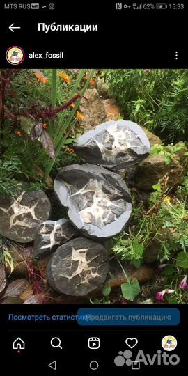 Сафари за Окаменелостями