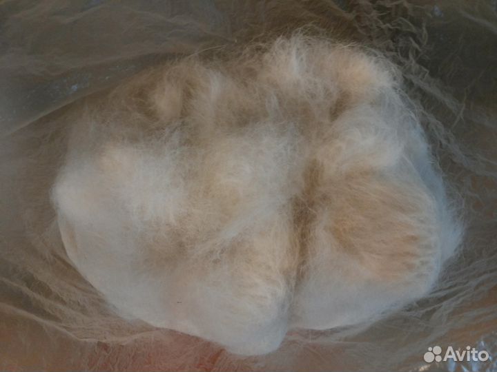 Собачья шерсть от белого лабрадора