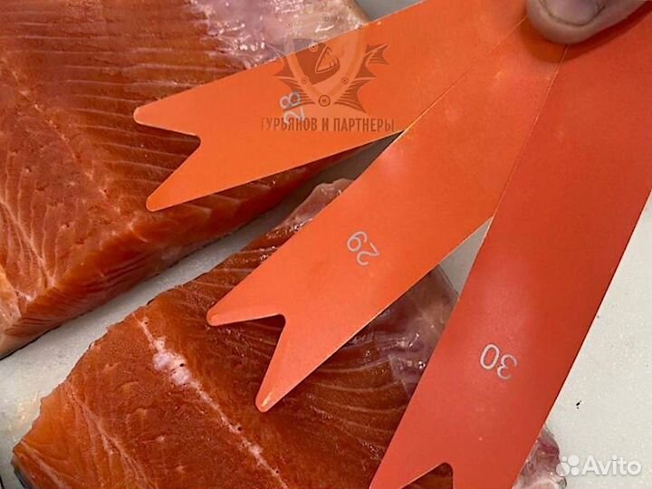 Форель килька обрезь лосося скумбрия горбуша опт