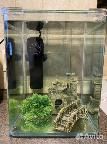 Аквариум Donnerly 10 л. с оборудованием и декором