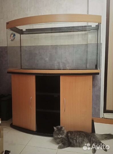 Аквариум 270 литров с тумбой BioDesign