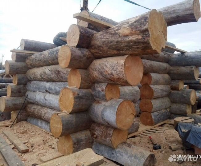 Сруб из сосны кело / Дома из сосны кело