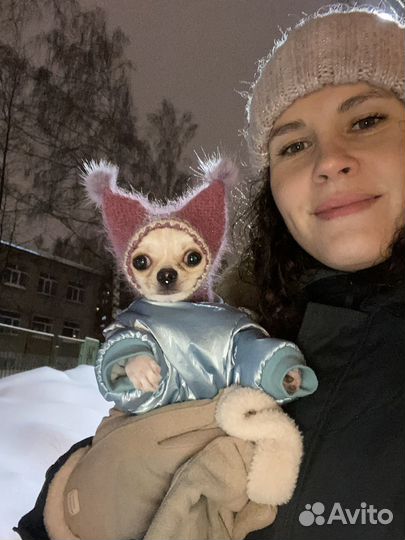 Одежда для маленьких собак зимняя