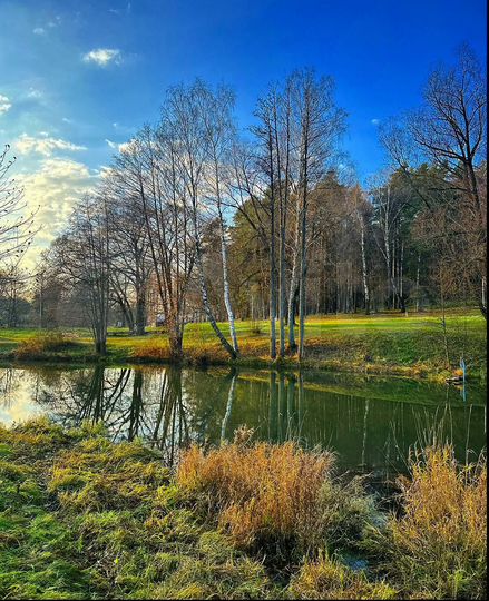 Участок 5 сот. (ИЖС)