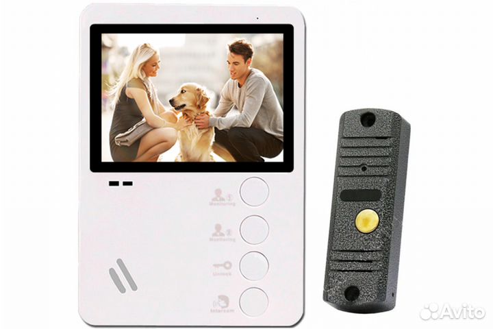 Комплект AltCam VDP431+VP4201