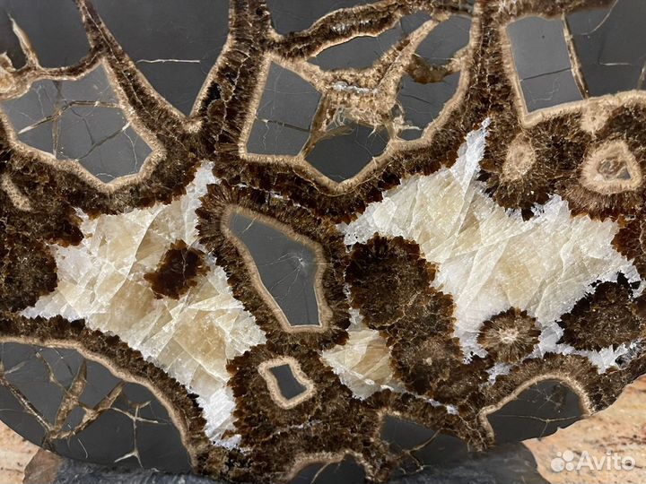 Септарий. Коллекционный образец