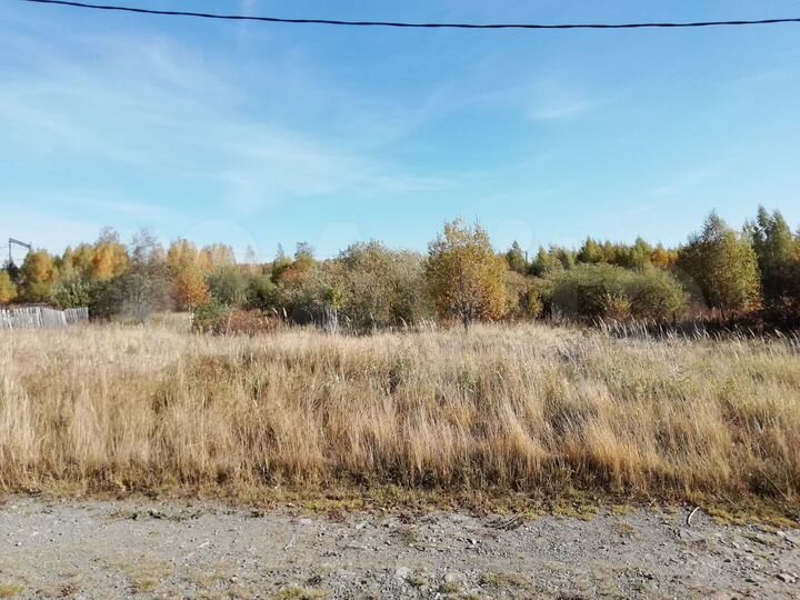 Участок 17,3 сот. (ИЖС)