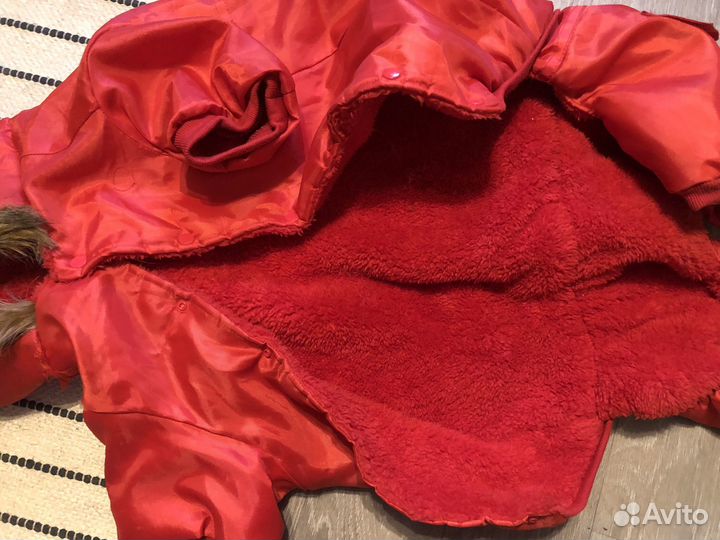 Собачий комбинезон