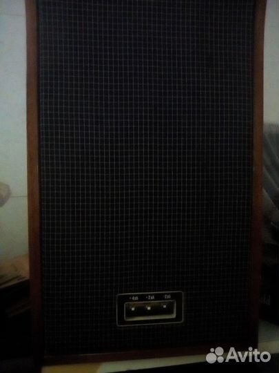 Акустика rodec RC100 и Вега 25ас-302