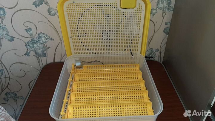 Инкубатор для яиц автоматический бу