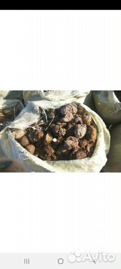 Навоз конский доставка бесплатная