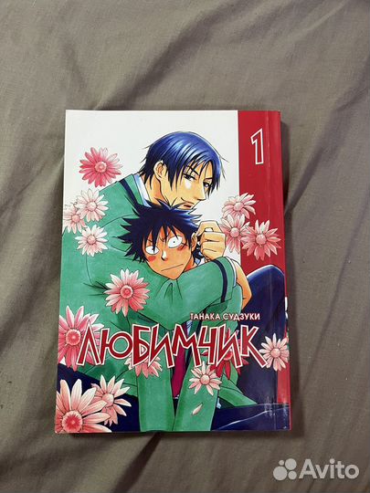Манга любимчик