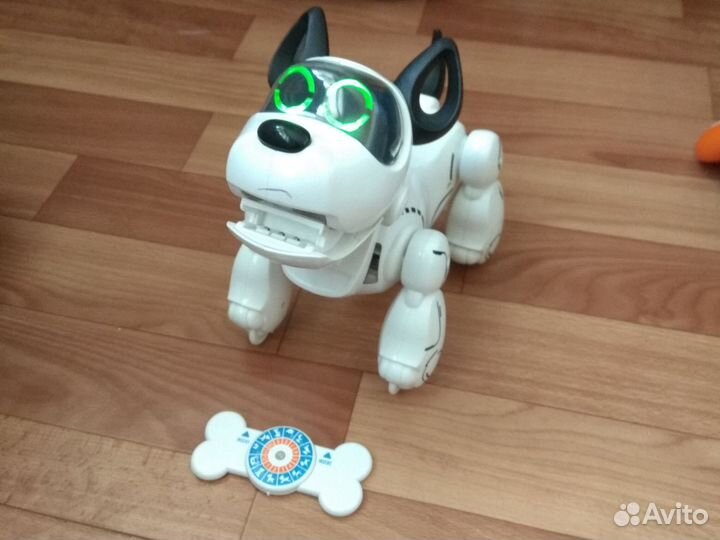 Собака-Робот Pupbo