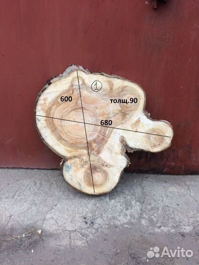Торцевые спилы деревьев
