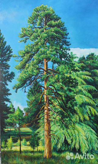 Продажа картин