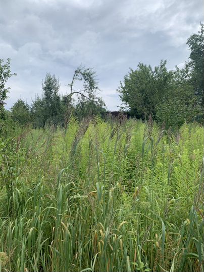 Участок 6 сот. (ИЖС)