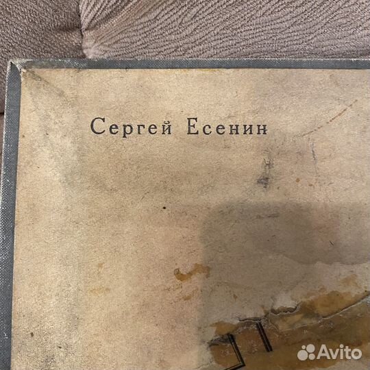 Сергей Есенин: художественная репродукция на ткани