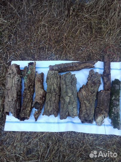 Кора пробкового дуба