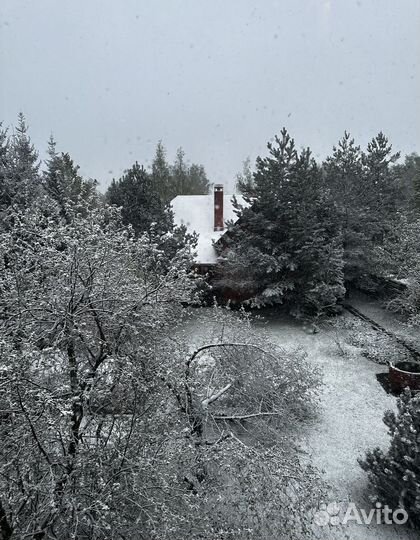 Передержка собак в частном доме
