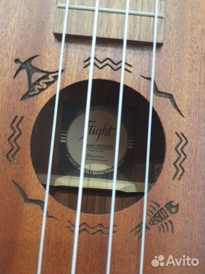 Укулеле flight концерт