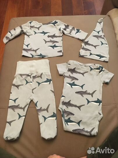 Комплект боди,ползункикофта шапка mjolk 68 Акула