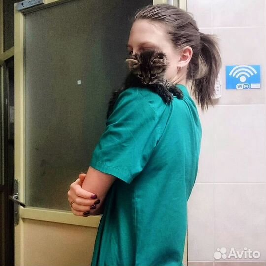 Вызов ветеринарного врача на дом